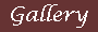 Gallery.gif (1055 bytes)